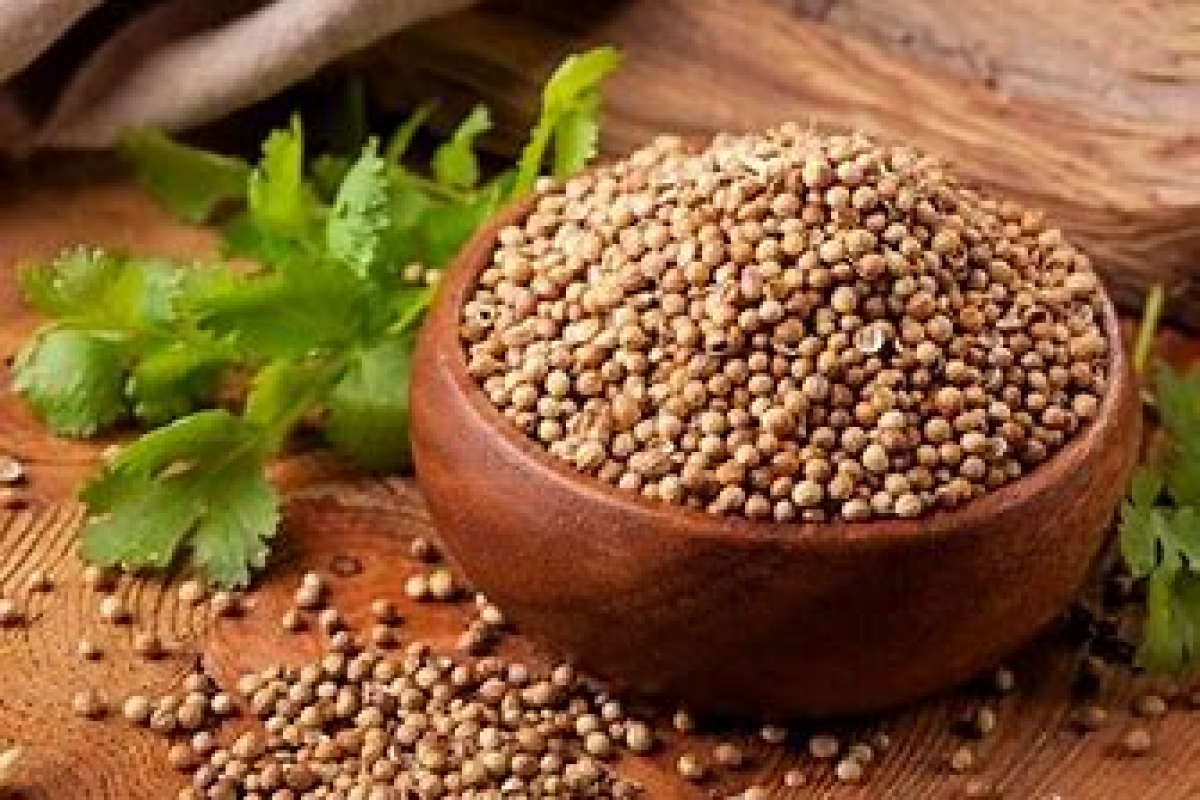 CORIANDER HEALTH BENIFITS